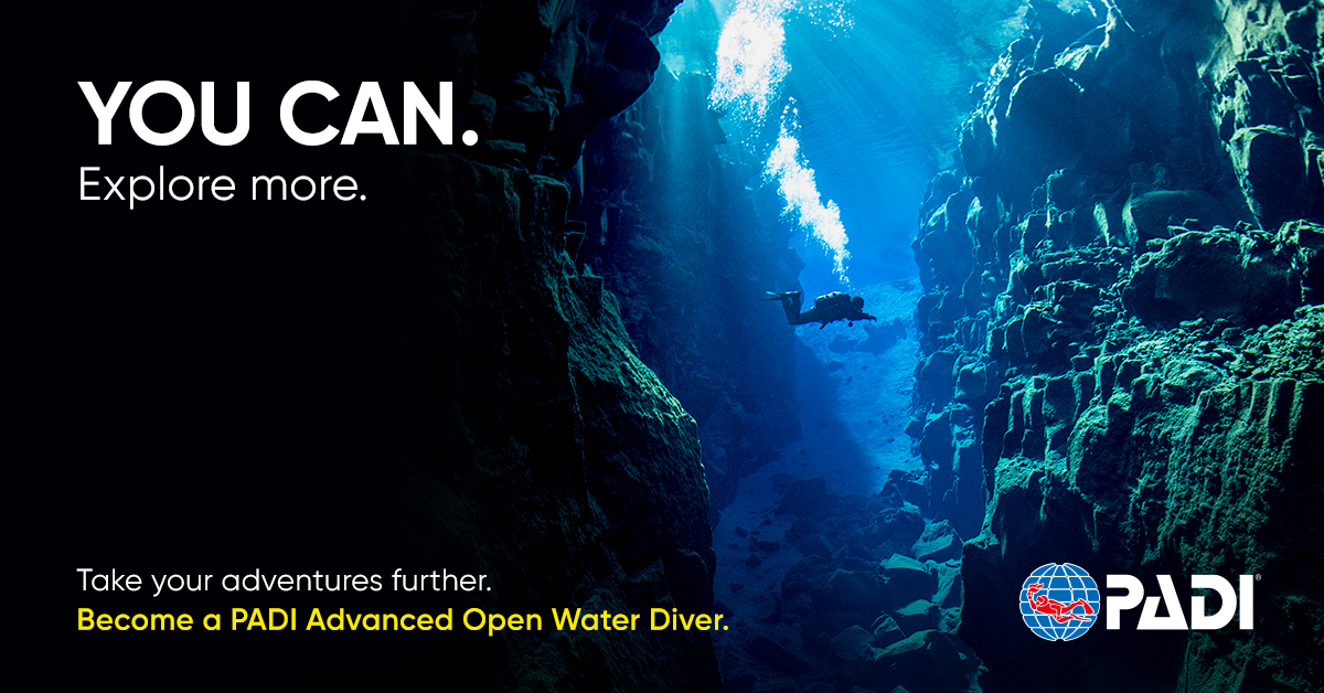 en-advancedopenwater-cold-blog-post-1200x600
