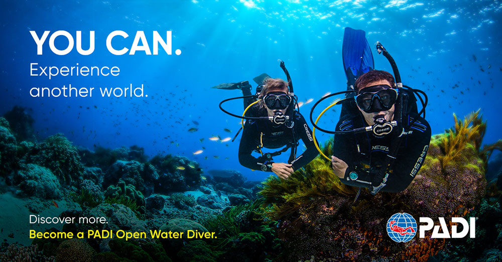padi-banner padi-banner