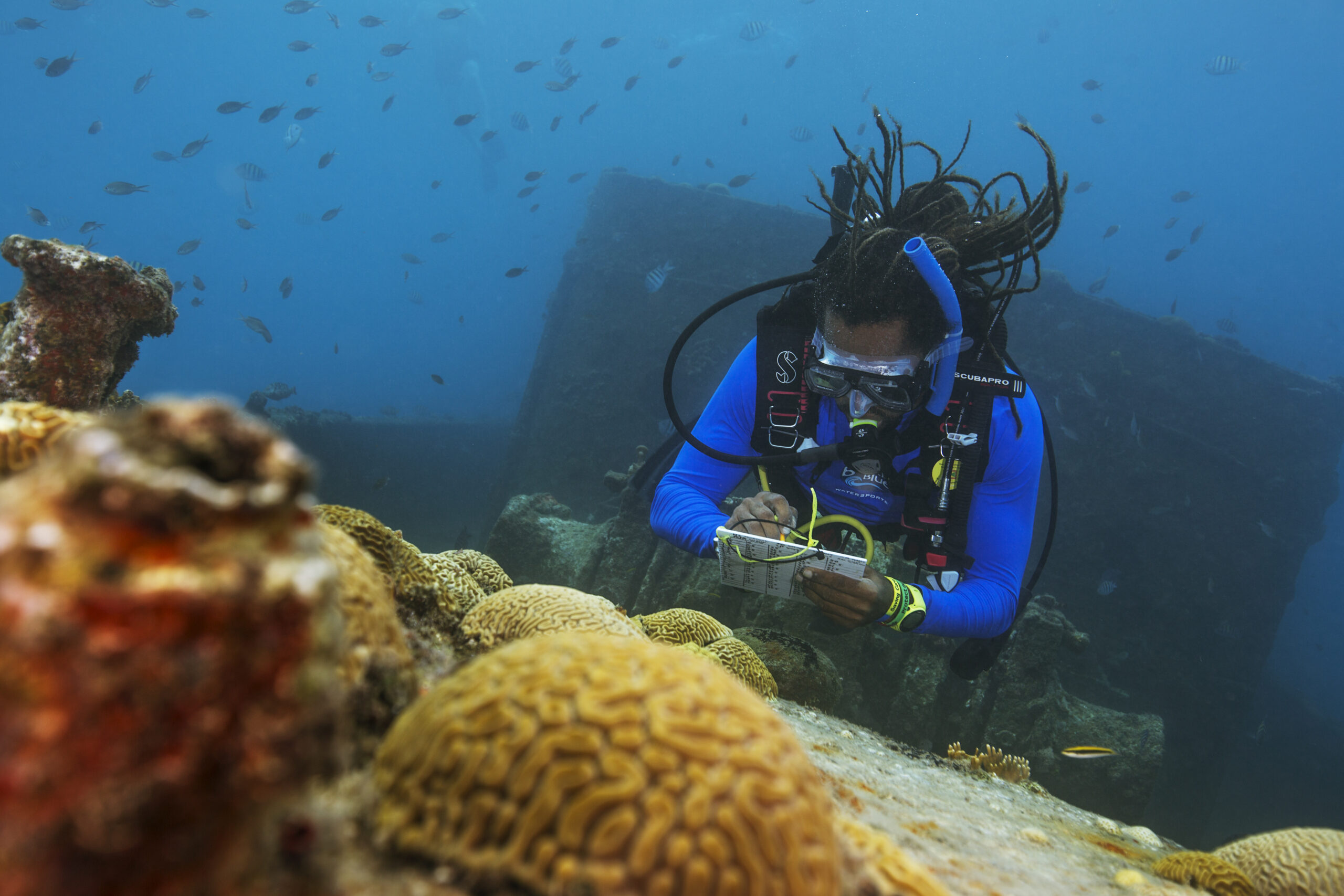 Conservation_PADI 1