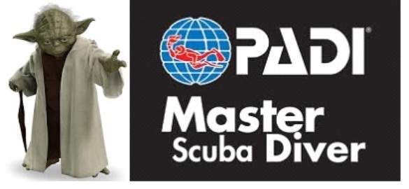 msd_yoda_web