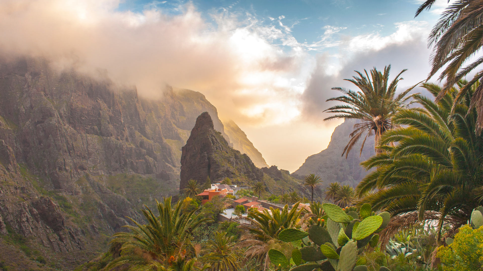 tenerife2