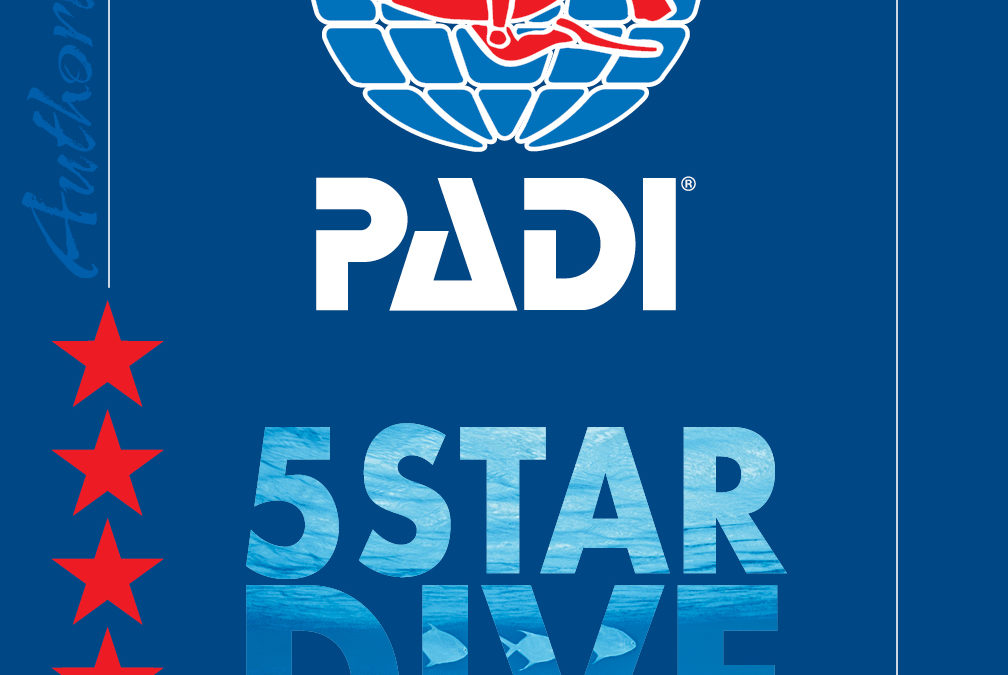 PADI Five Star Dive Center lettünk!