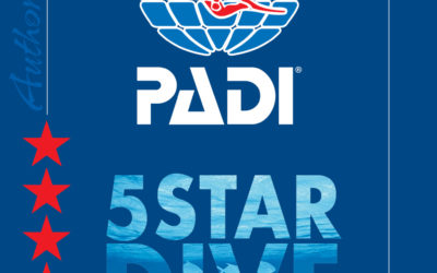 PADI Five Star Dive Center lettünk!