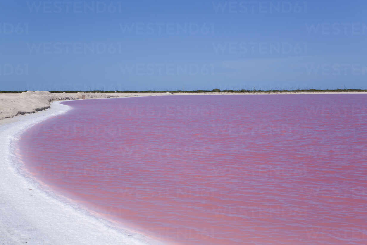 Pink Lakes, Las Coloradas, Yucatan, Mexico, North America