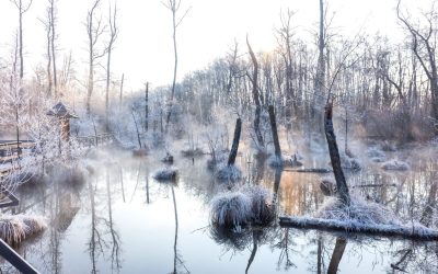 Tatai Fényes-forrás