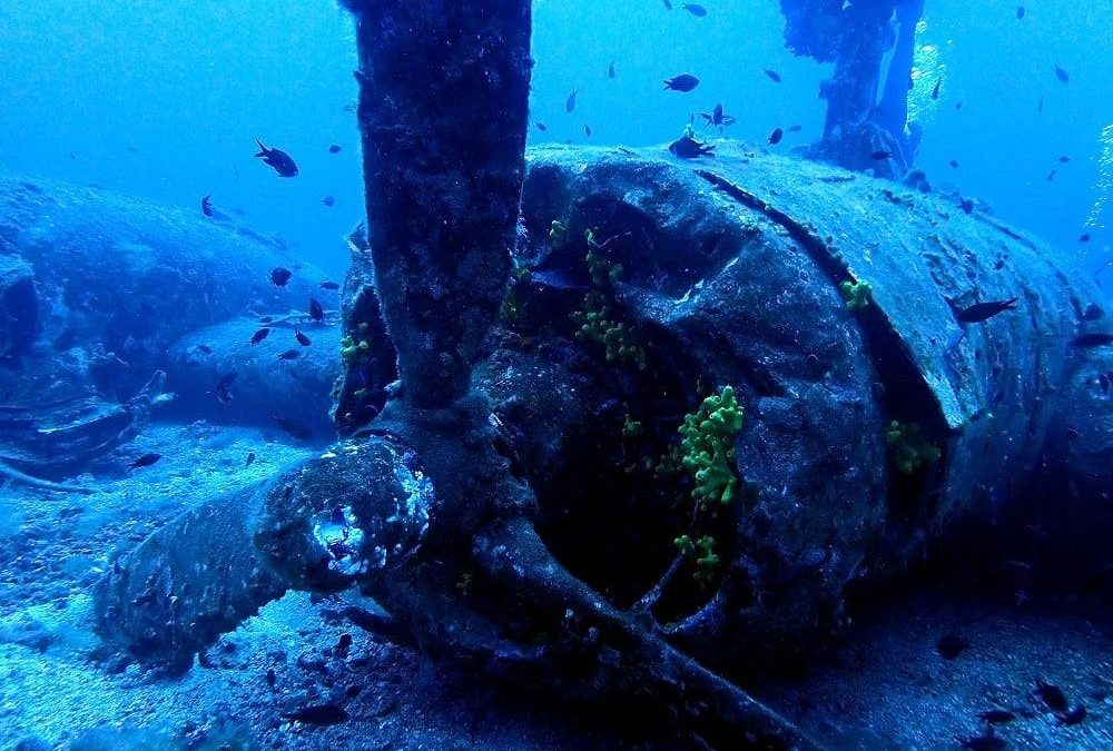 Vis-sziget búvártúra videó