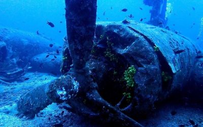 Vis-sziget búvártúra videó